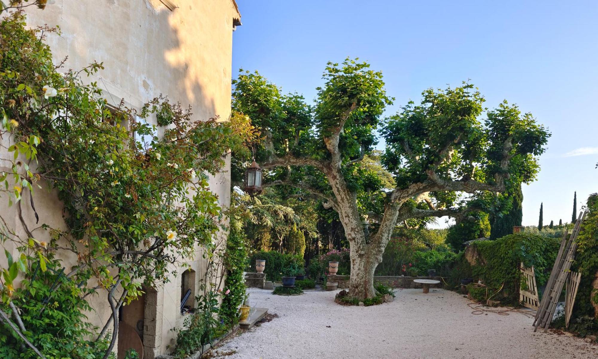 Rue Du Chateau A Cabrieres D'Avignon Bed & Breakfast ภายนอก รูปภาพ